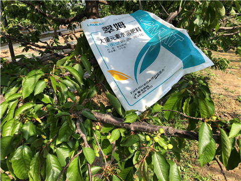 大量元素水溶肥，磷酸二氫鉀，硼肥