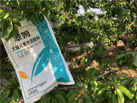 大量元素水溶肥，磷酸二氫鉀，硼肥