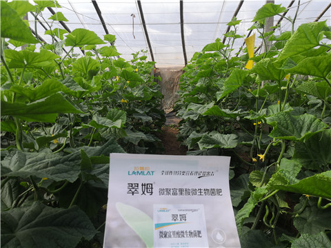 微生物菌劑，拉姆拉