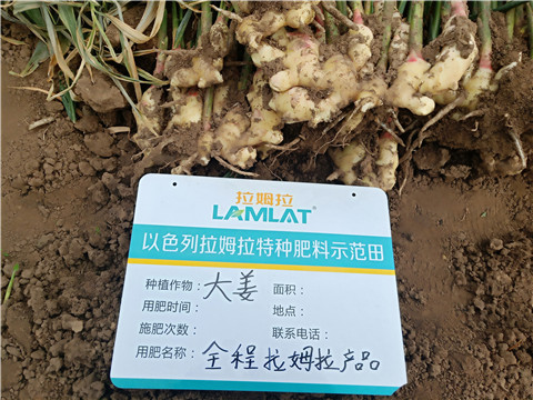 水溶肥，微生物菌劑，拉姆拉