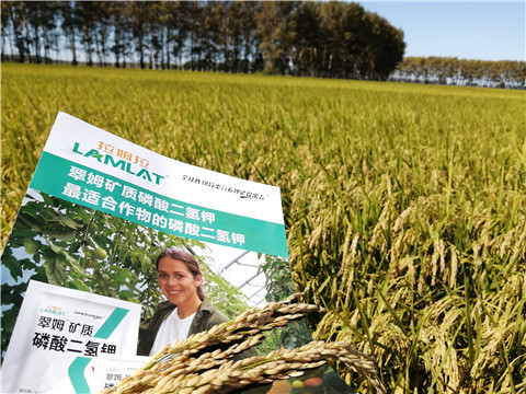 葉面肥，磷酸二氫鉀，安碧解