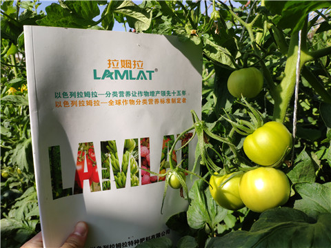 微生物菌劑，拉姆拉，伯示麥