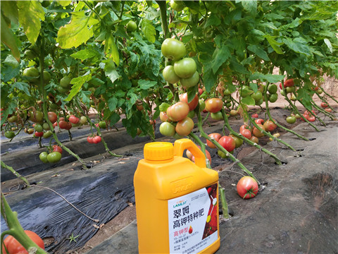 水溶肥，磷酸二氫鉀