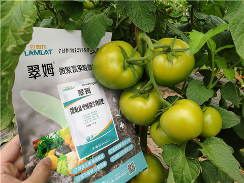 葉面肥，微生物菌劑，磷酸二氫鉀