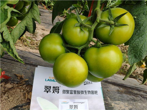 葉面肥，微生物菌劑，磷酸二氫鉀