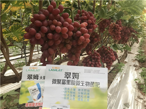 微生物菌劑，硼肥，鈣肥