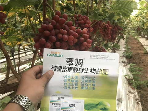 微生物菌劑，硼肥，鈣肥