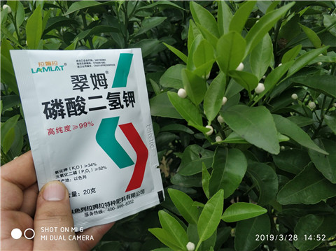 磷酸二氫鉀，硼肥，拉姆拉