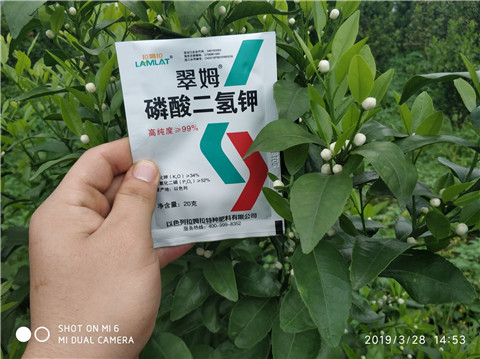 磷酸二氫鉀，硼肥，拉姆拉