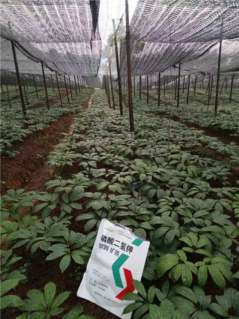 磷酸二氫鉀，安碧解，