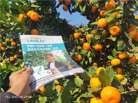 磷酸二氫鉀，硼肥，拉姆拉