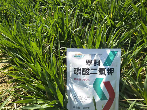 磷酸二氫鉀，葉面肥，拉姆拉