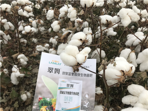 微生物菌劑，根碧多，拉姆拉