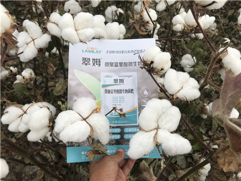 微生物菌劑，根碧多，拉姆拉