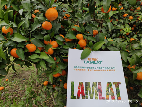 硼肥，拉姆拉