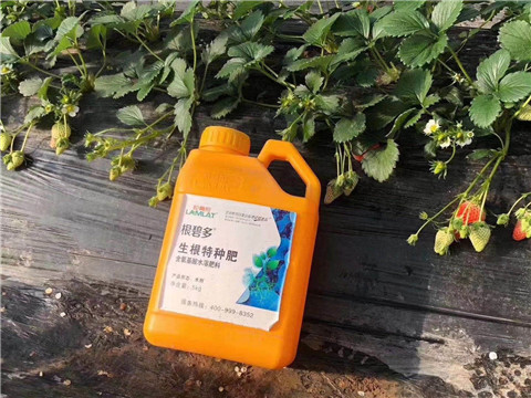 根碧多，微生物菌劑，拉姆拉