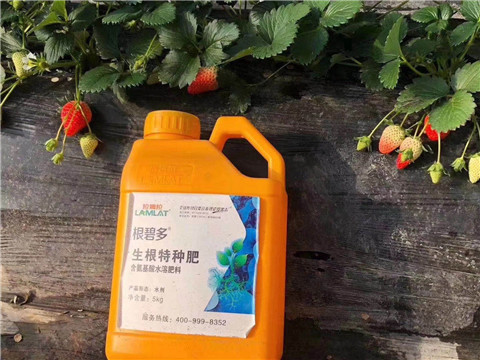 根碧多，微生物菌劑，拉姆拉