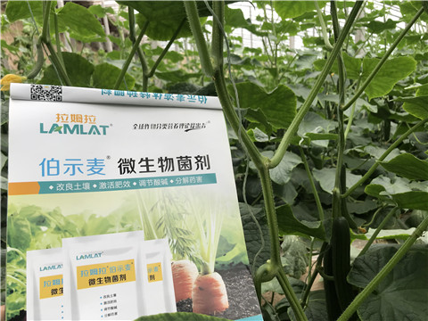 微生物菌劑，生根劑，拉姆拉