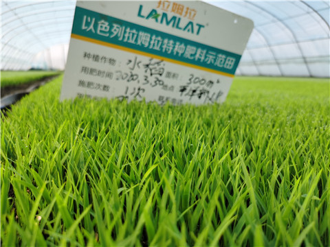 微生物菌劑，拉姆拉