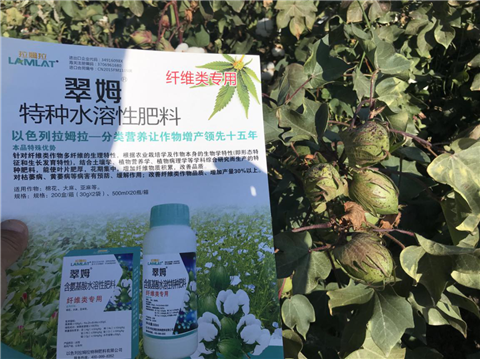 葉面肥，拉姆拉