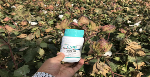 葉面肥，拉姆拉