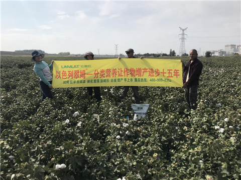 葉面肥，拉姆拉