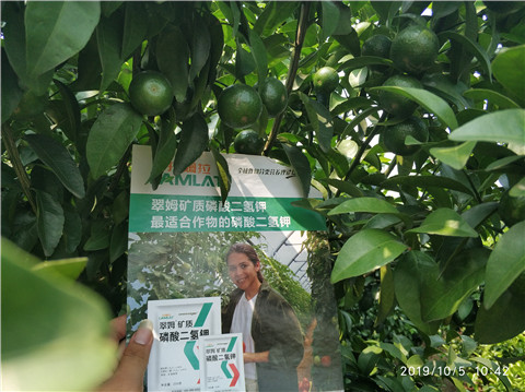 磷酸二氫鉀，拉姆拉