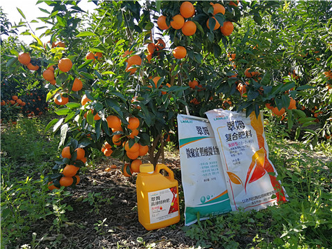 水溶肥，拉姆拉