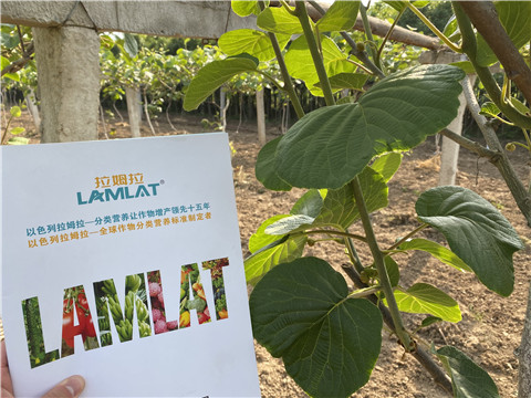 大量元素水溶肥，拉姆拉