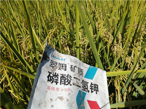 磷酸二氫鉀，翠姆，拉姆拉