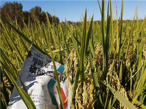 磷酸二氫鉀，翠姆，拉姆拉