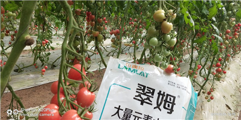 水溶肥，翠姆，拉姆拉