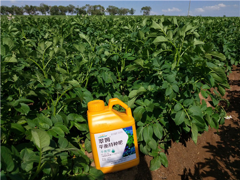 水溶肥，翠姆，拉姆拉