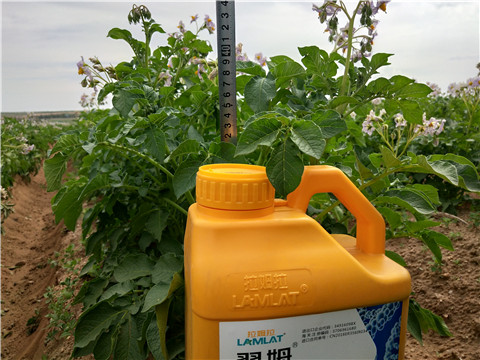 水溶肥，翠姆，拉姆拉
