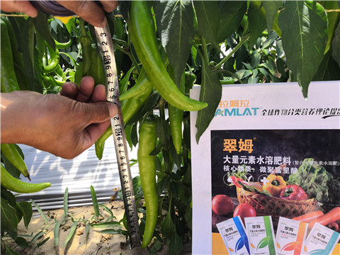 復(fù)合肥料，拉姆拉