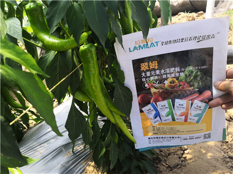 復(fù)合肥料，拉姆拉