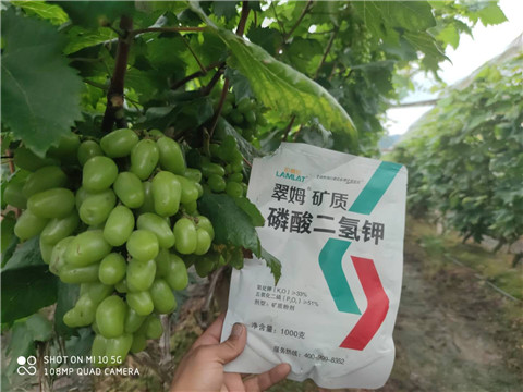 磷酸二氫鉀，拉姆拉