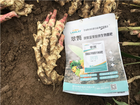 微生物菌劑，翠姆，拉姆拉