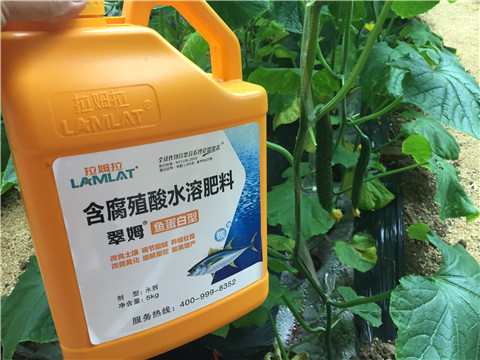 生根劑，魚蛋白水溶肥，拉姆拉