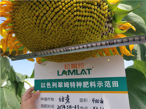 水溶肥，微生物菌劑，拉姆拉