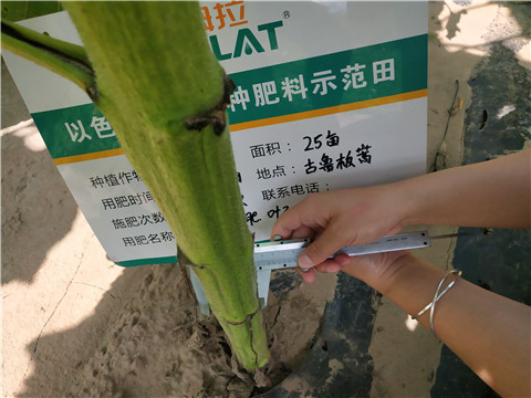 水溶肥，微生物菌劑，拉姆拉