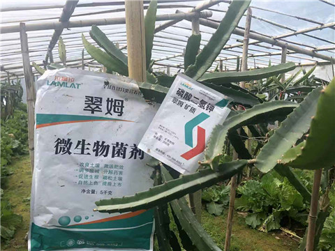 磷酸二氫鉀，翠姆，拉姆拉