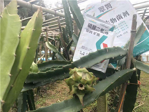 磷酸二氫鉀，翠姆，拉姆拉