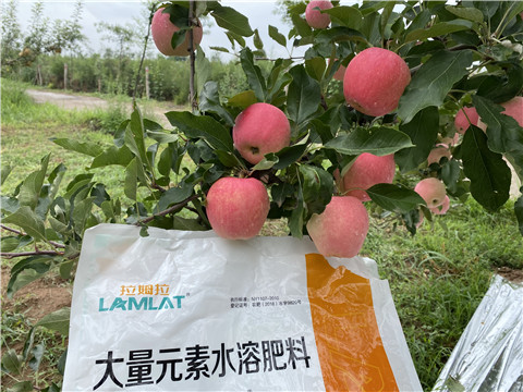 水溶肥，翠姆，拉姆拉