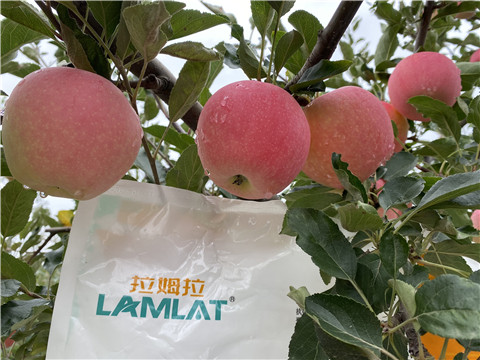 水溶肥，翠姆，拉姆拉