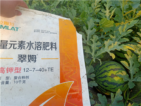 水溶肥，拉姆拉，翠姆