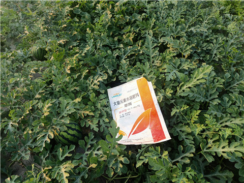 水溶肥，拉姆拉，翠姆