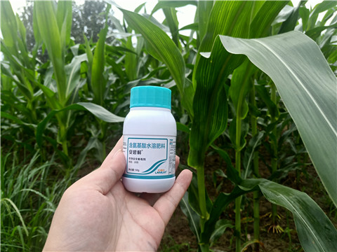 安碧解，拉姆拉