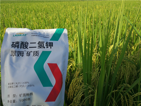 葉面肥，水稻灌漿肥，拉姆拉