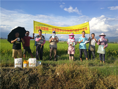 葉面肥，水稻灌漿肥，拉姆拉